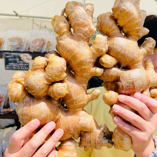 無農薬四万十生姜3キロ